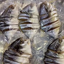 咸魚-咸魚批發、促銷價格、產地貨源 