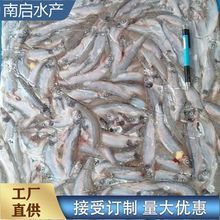 胡瓜魚