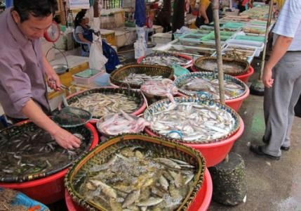 水產(chǎn)品放心吃！多地市場(chǎng)核酸檢測(cè)陰性，安全有保障